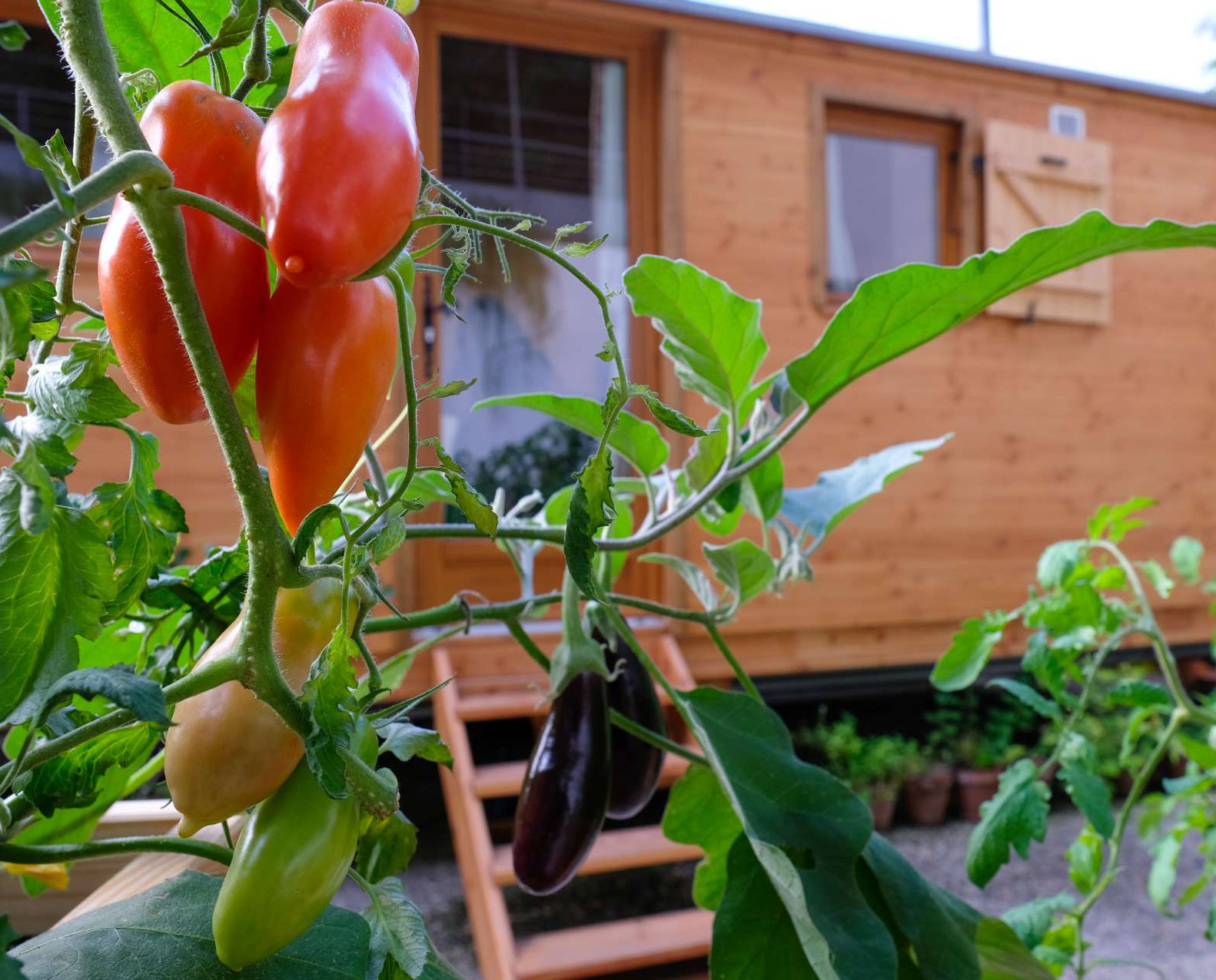 Permaculture et hébergements insolites camping La Permaculturelle Drôme Provençale
