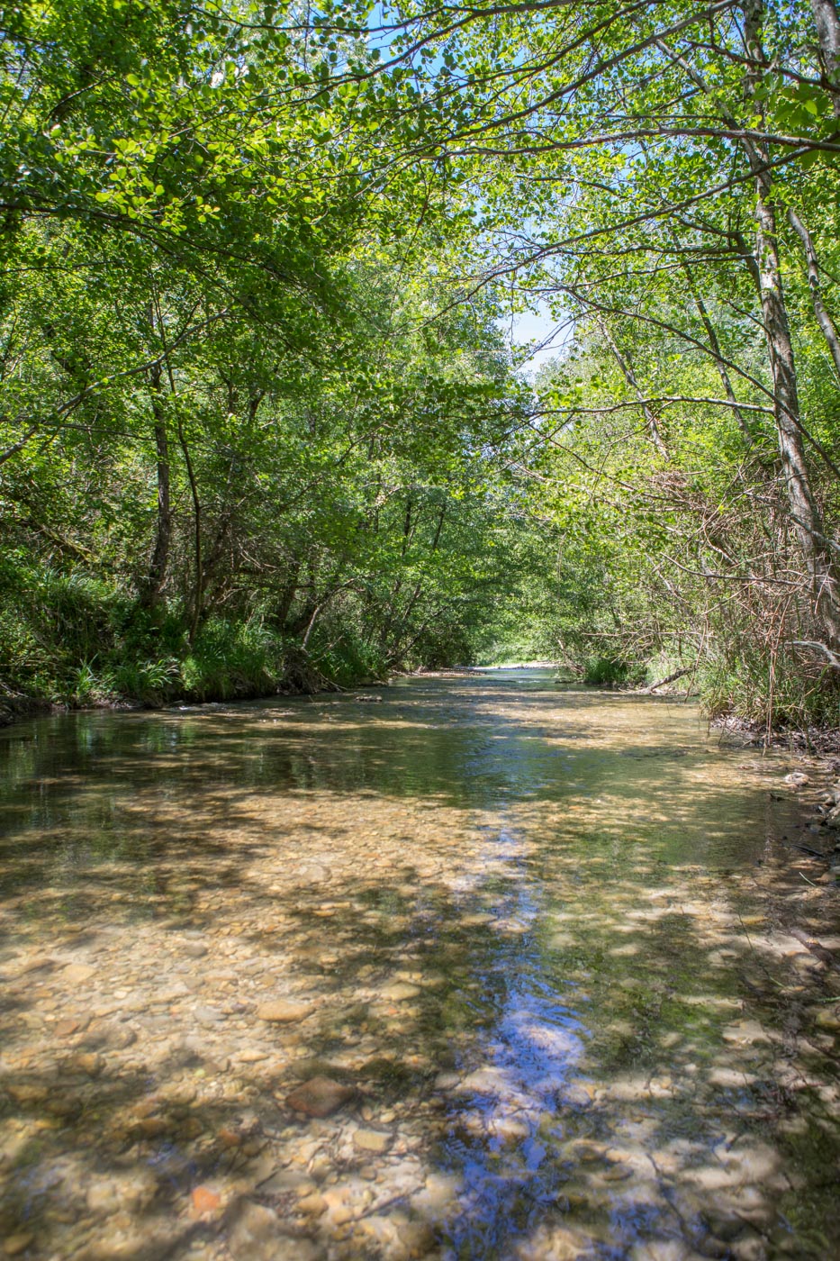 Jabron Rivière camping La Permaculturelle Drôme Provençale